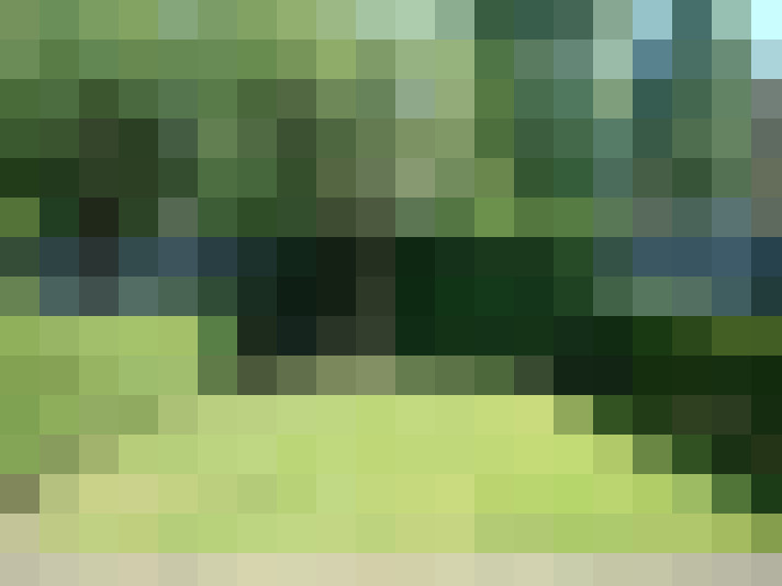  / #12