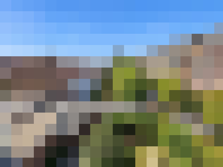  / #13