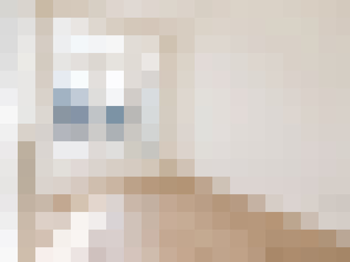  / #16