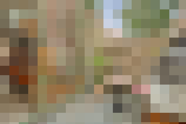  / #13