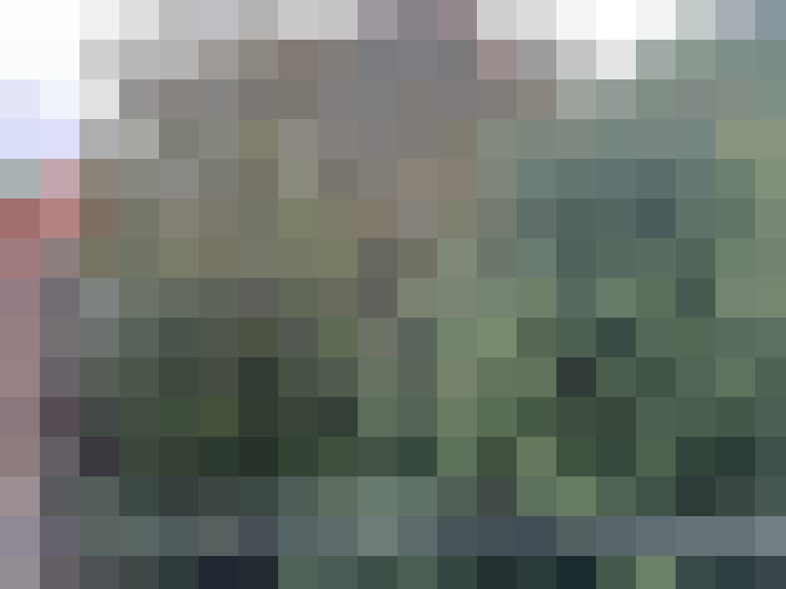  / #8