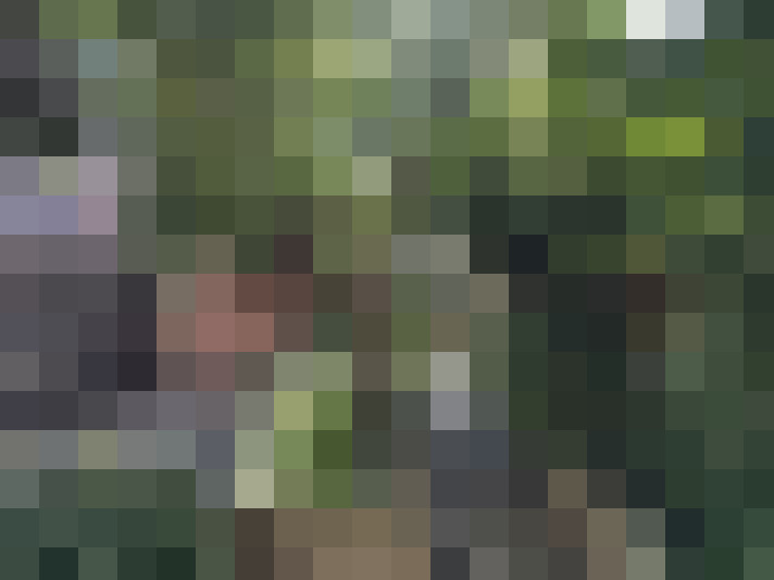  / #15