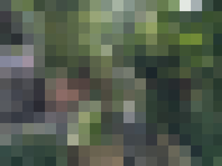  / #14
