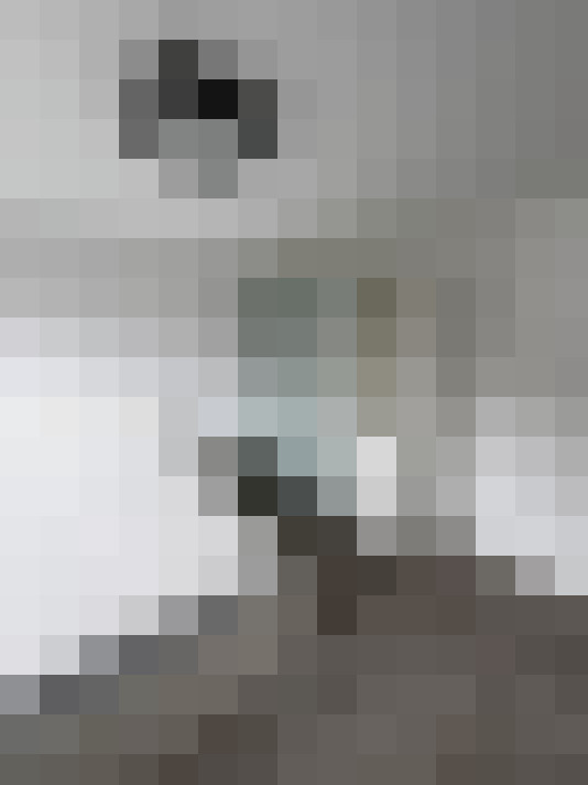  / #22