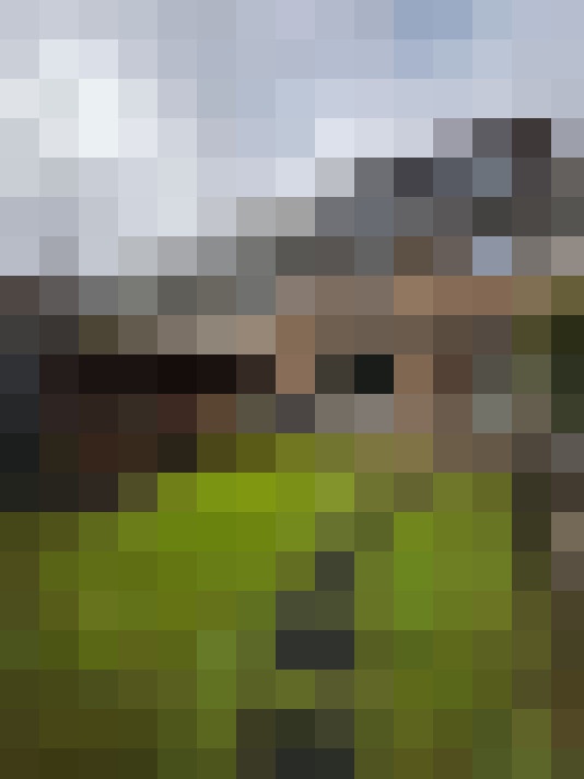  / #17