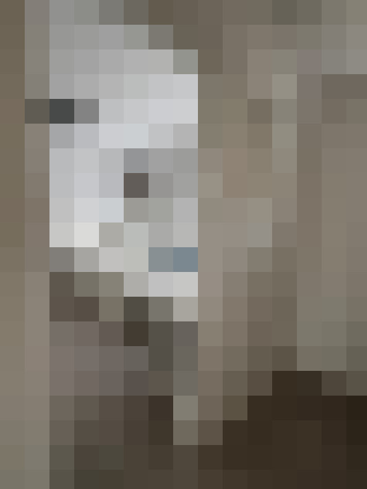  / #19