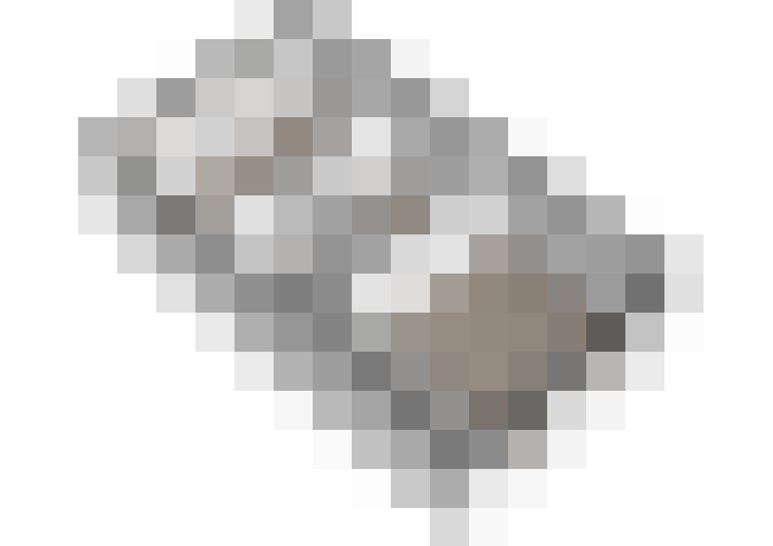  / #19