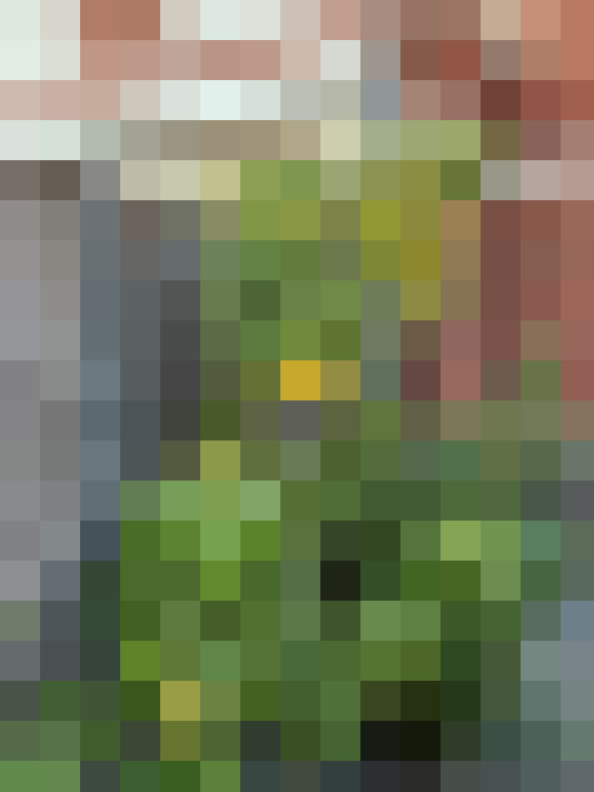  / #17