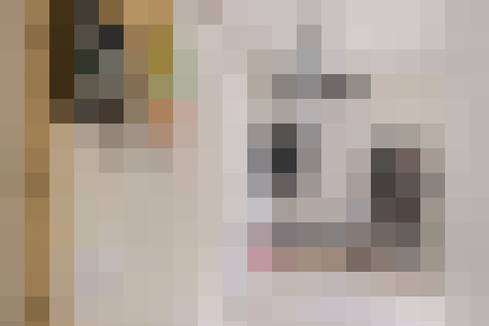  / #20