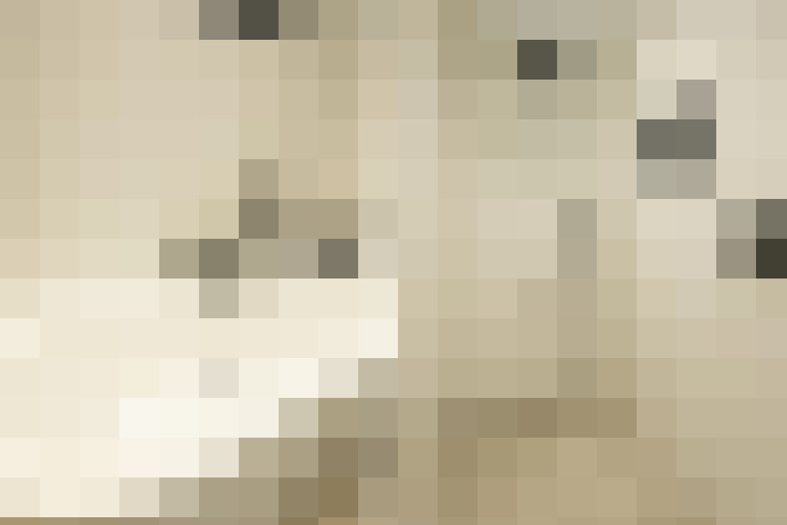  / #42