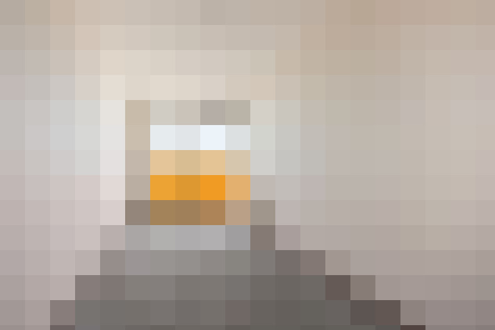 / #12