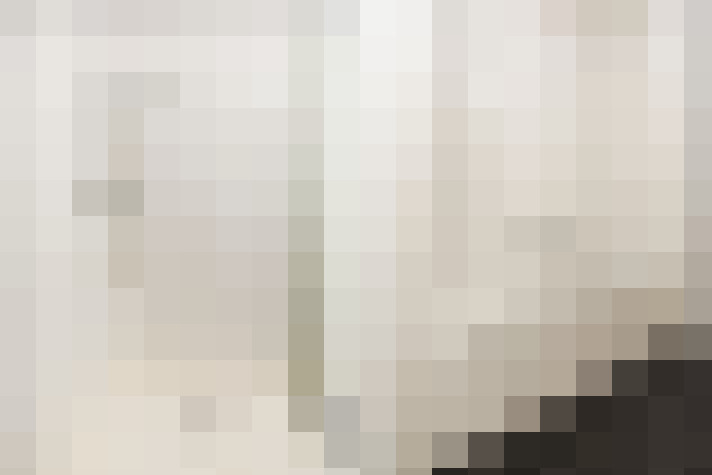  / #17