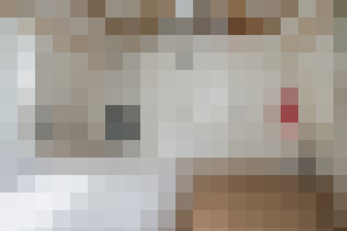  / #17