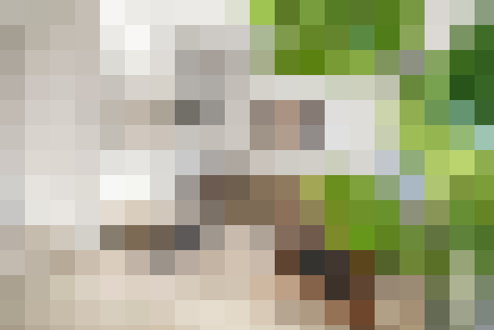  / #18