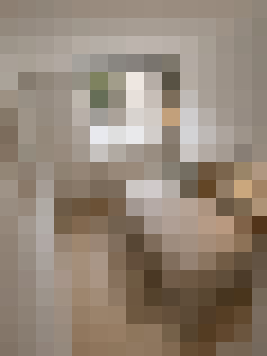  / #17