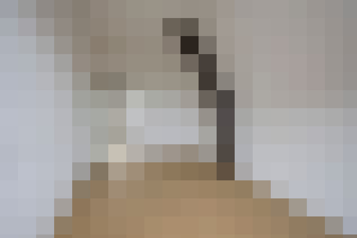  / #23