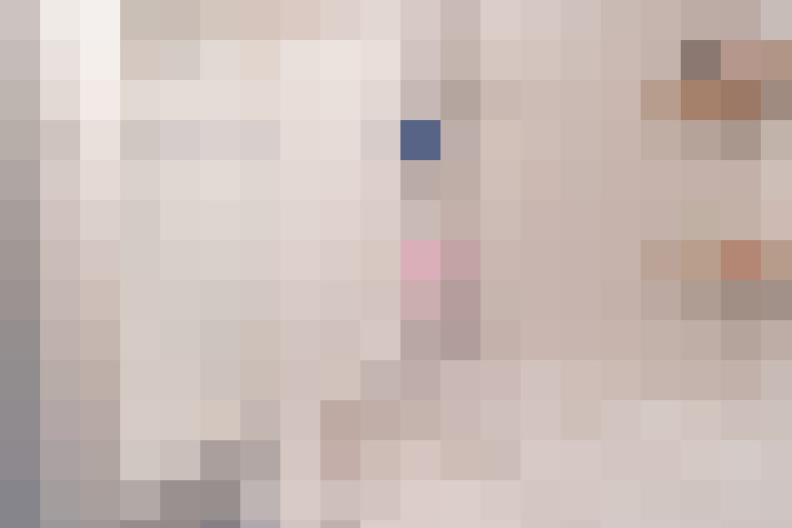  / #19