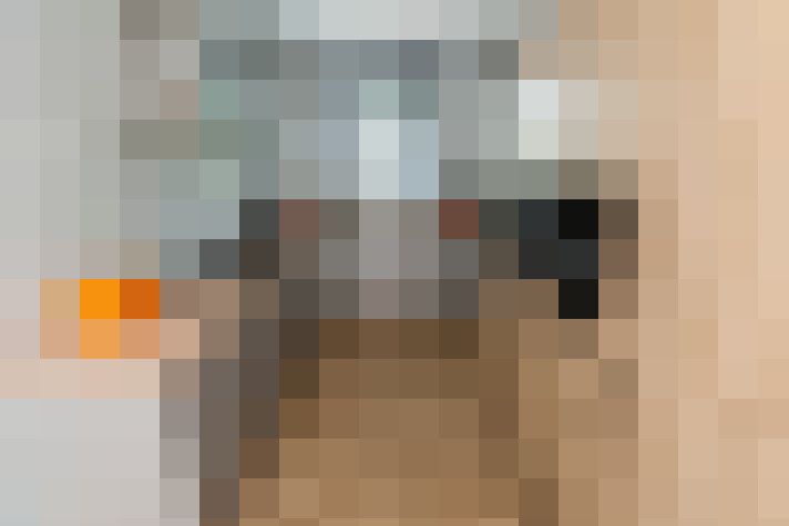  / #19