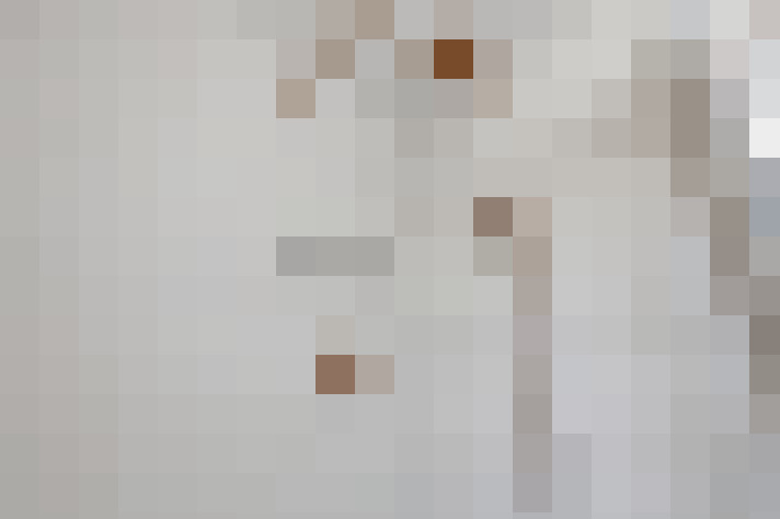  / #28