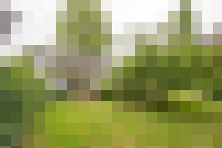  / #16