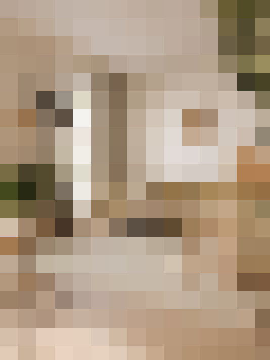  / #5