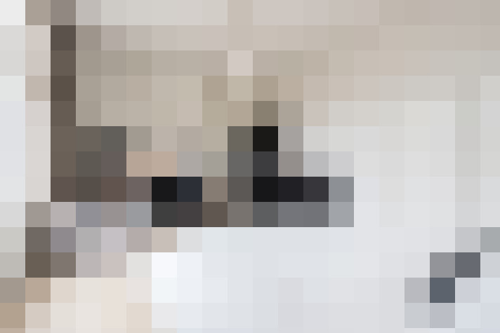  / #11