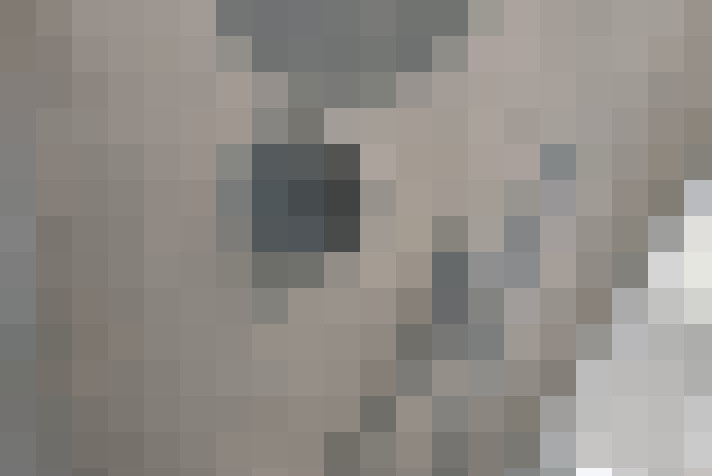  / #17