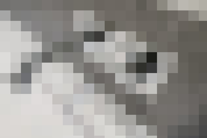  / #16