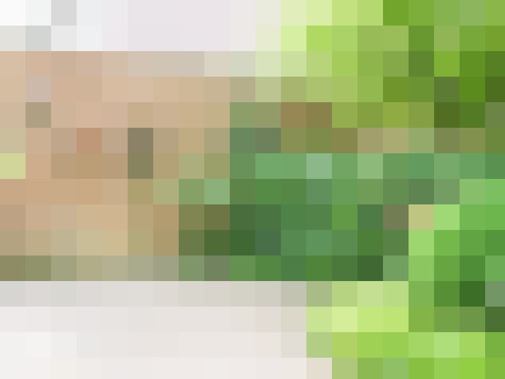  / #14