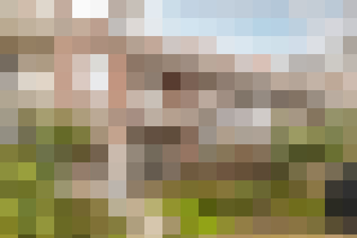  / #61