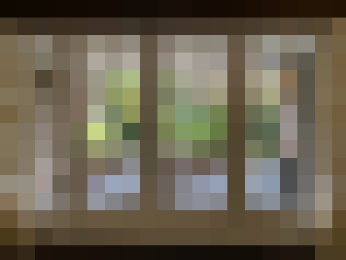  / #6