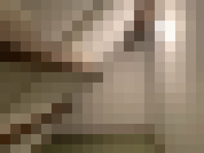  / #28