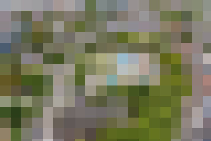  / #20