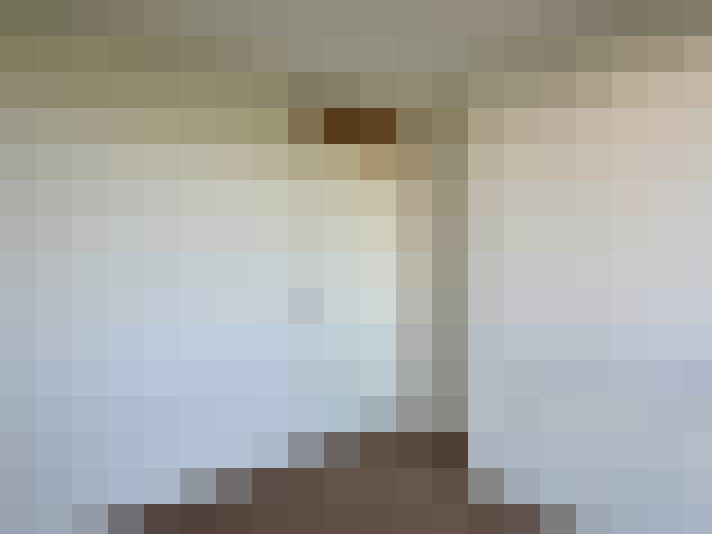  / #23