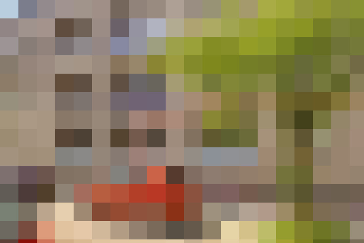  / #19