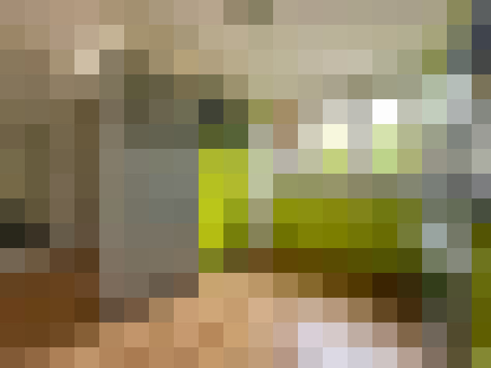  / #14