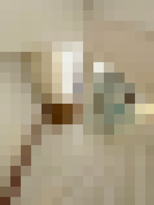  / #17