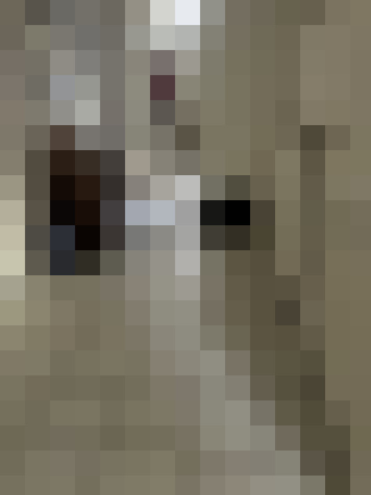  / #8