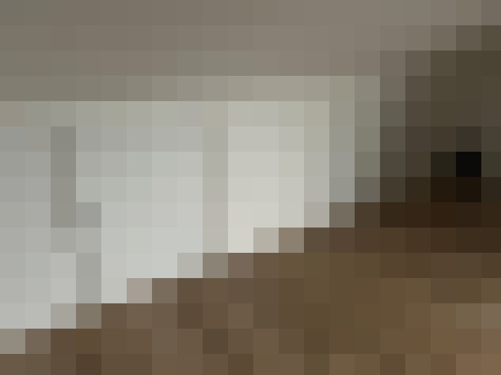  / #16