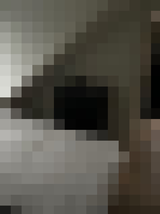  / #14