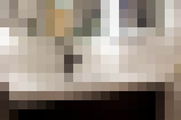  / #19