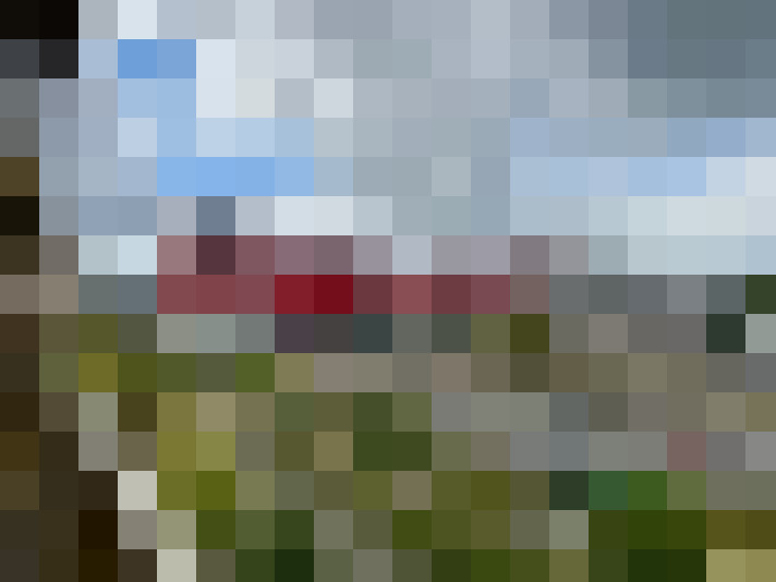 / #11