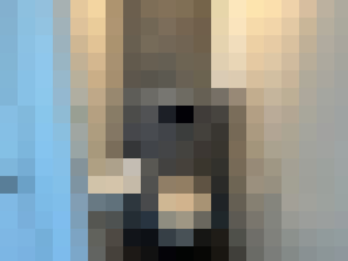  / #16