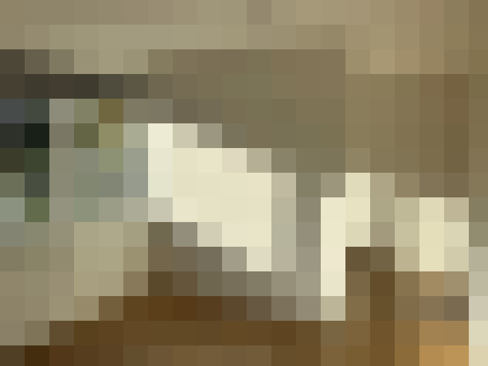 / #25