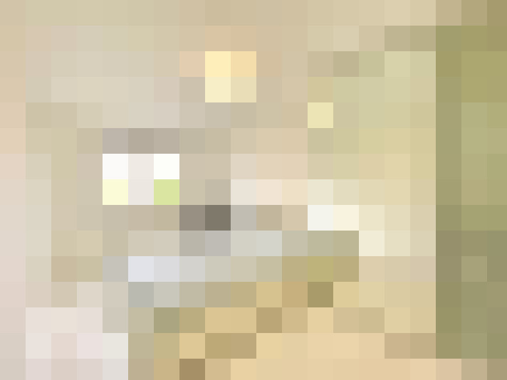  / #15