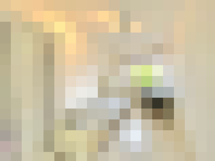  / #14