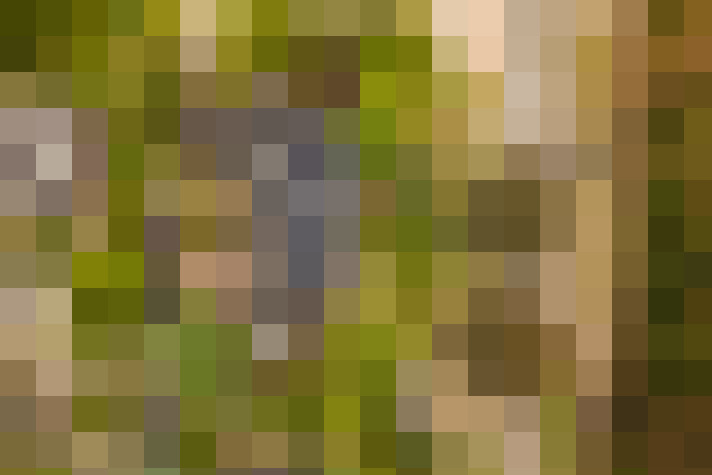  / #13