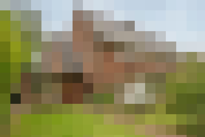  / #63