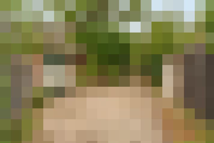  / #67