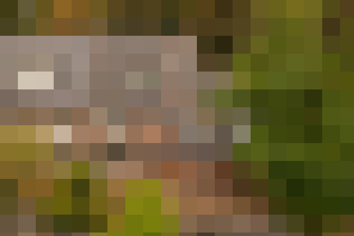  / #27